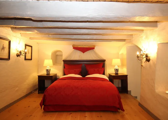 Vraa Slotshotel Hotel 4*
